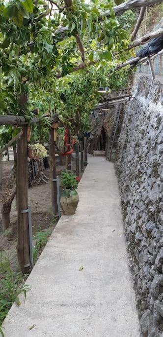 Villa #La limonaia della torretta Minori Esterno foto