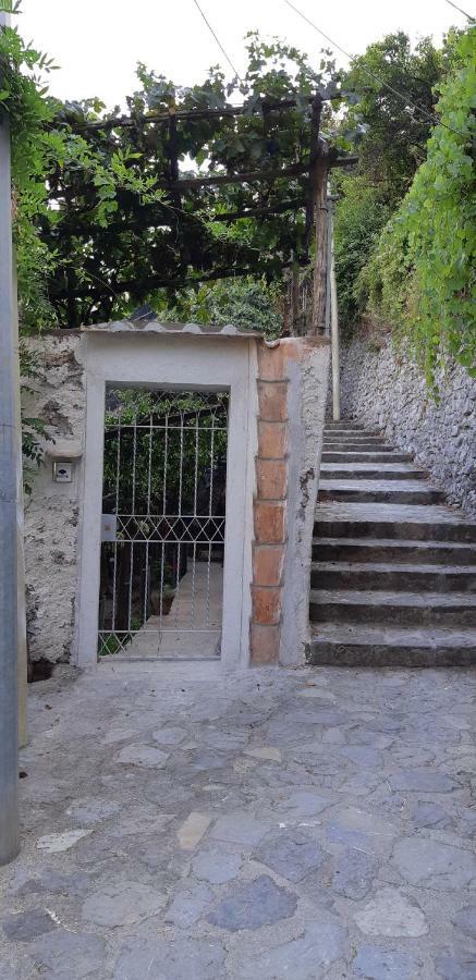 Villa #La limonaia della torretta Minori Esterno foto